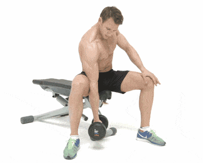 Dumbbell Exercises For Triceps