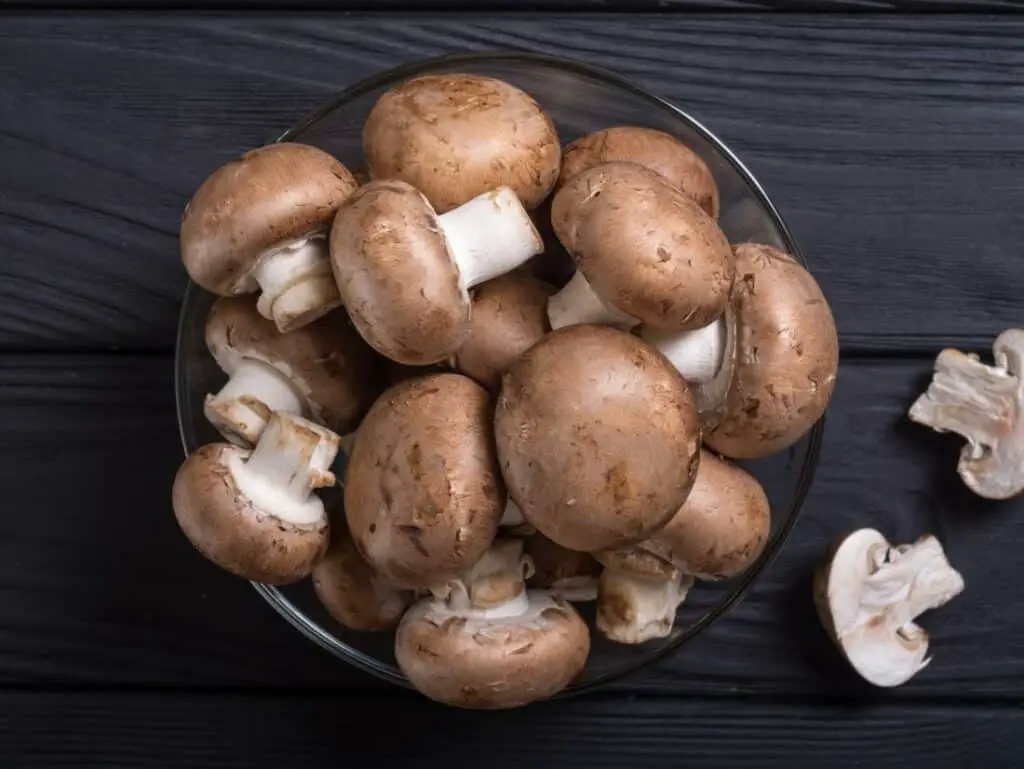 mushrooms fitness trends of 2022