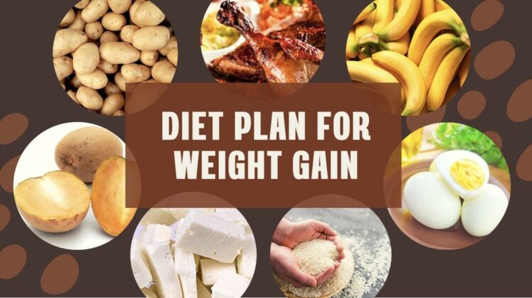 meal plan for weight gain