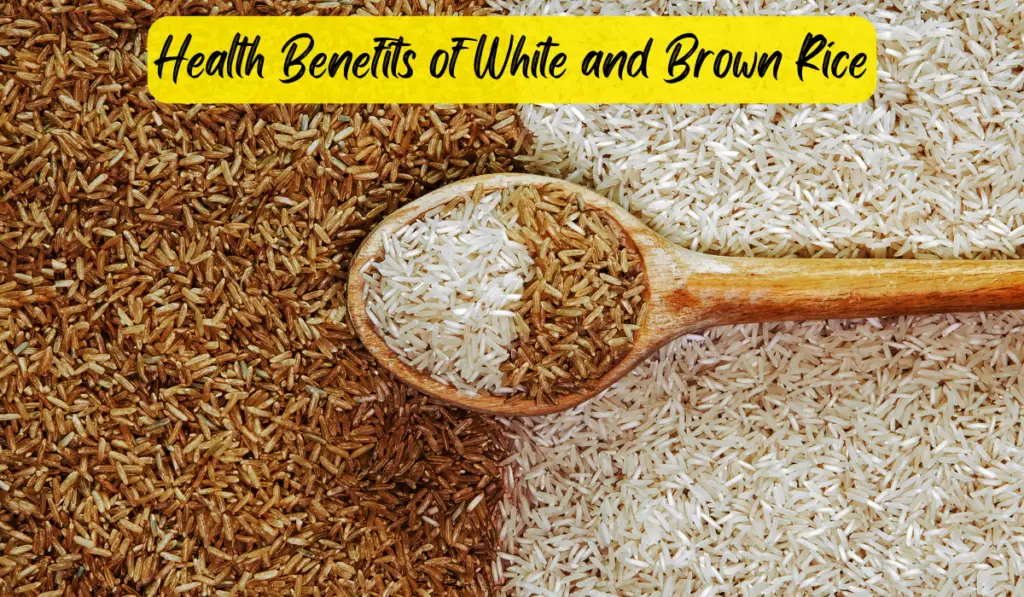 the facts of white and brown rice