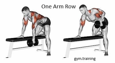 one arm best dumbbell back exercises