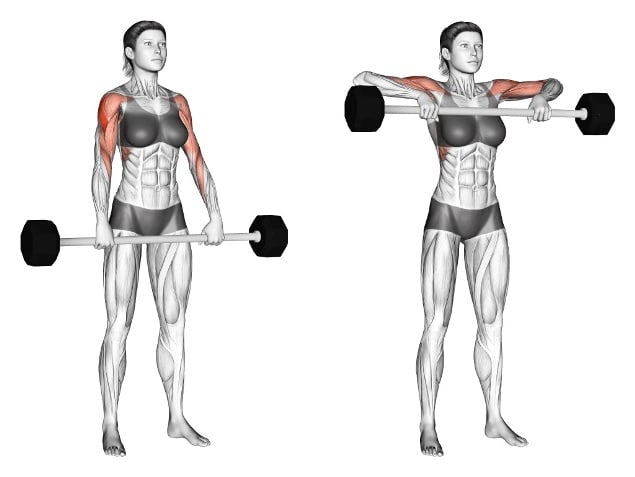 Upright Barbell Row