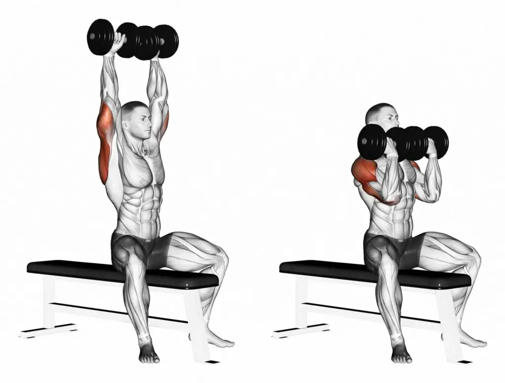 best shoulder exercises
