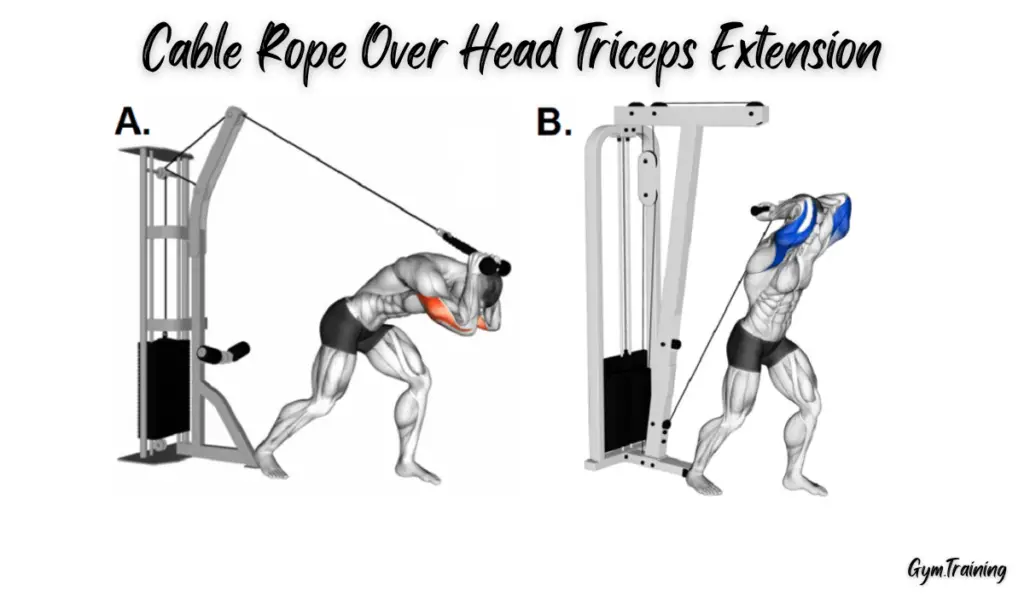 Cable Rope Over Head Triceps Extension