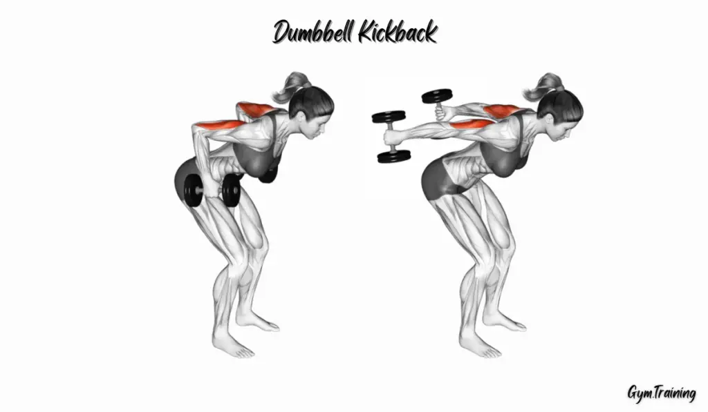 Dumbbell Kickback -triceps exercises