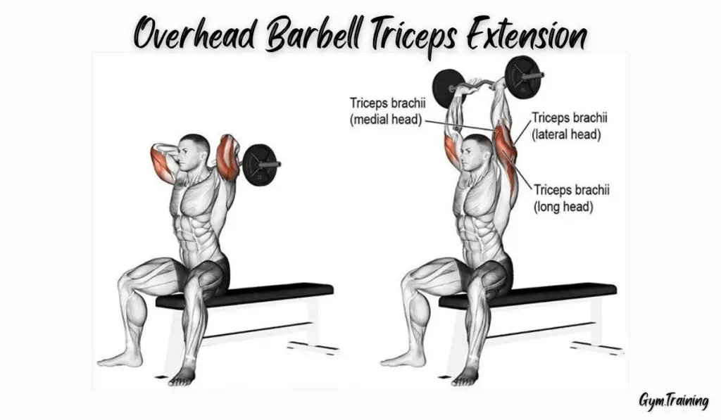 Overhead Barbell Triceps Extension
