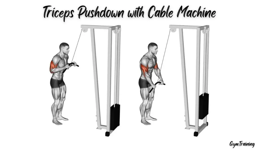 Triceps Pushdown with Cable Machine