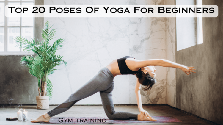Yoga For Beginners-