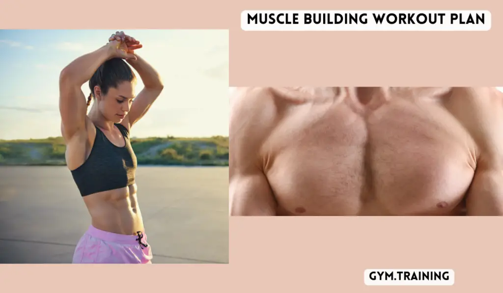 Muscle building