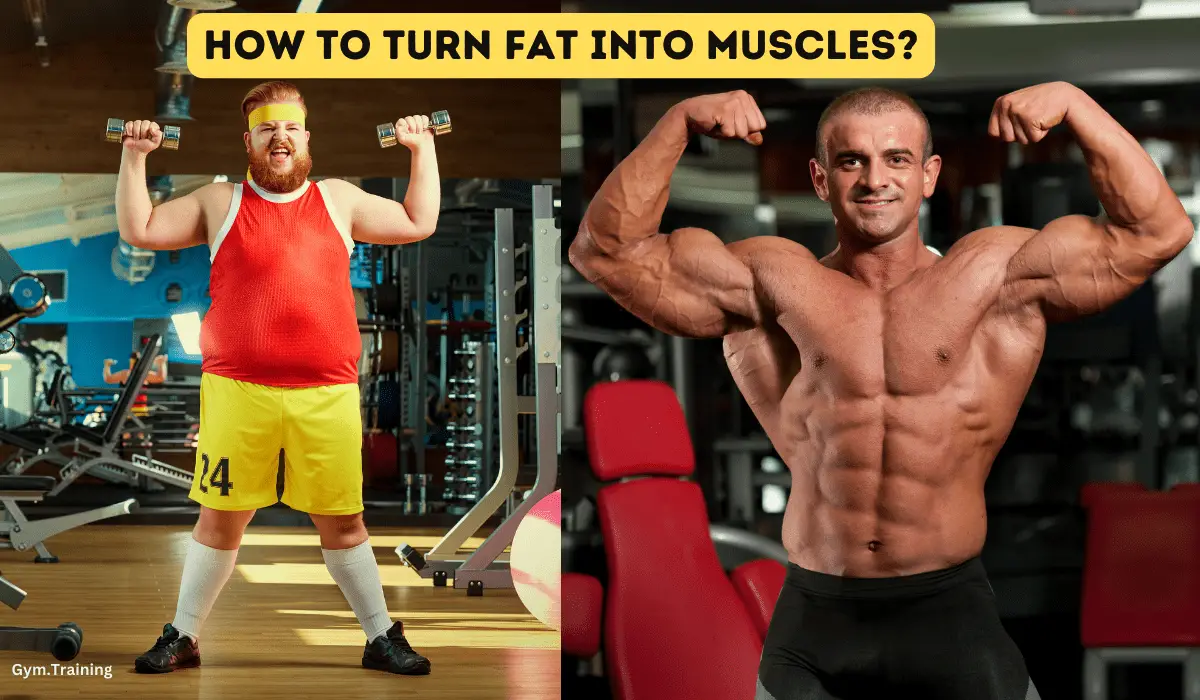 how to turn fat into muscle