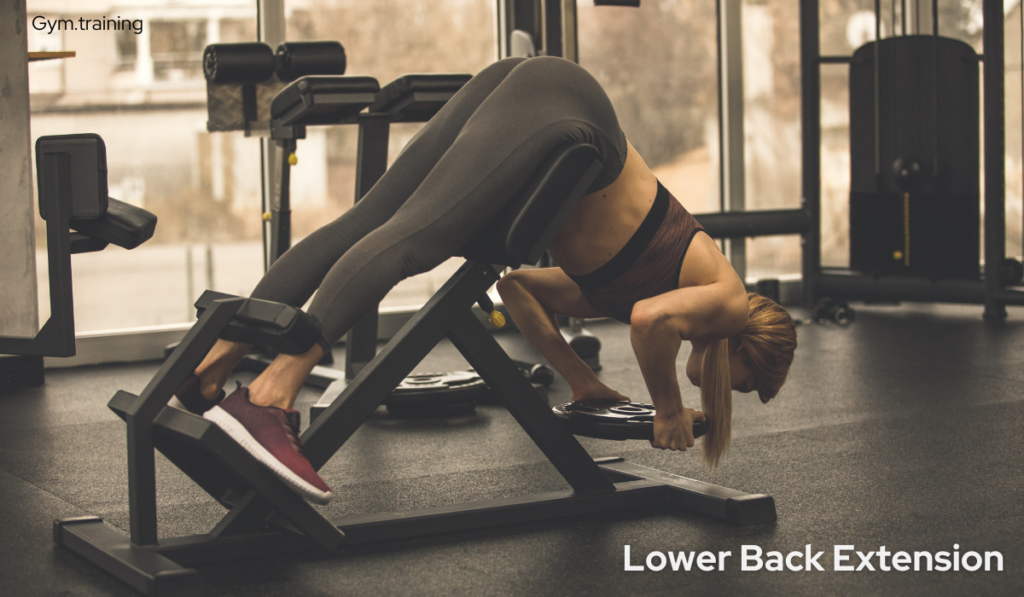 Bodyweight Back Exercises For Beginners