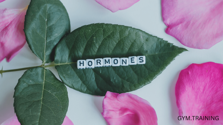 Hormone Balancing Foods