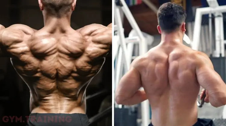 middle back exercises