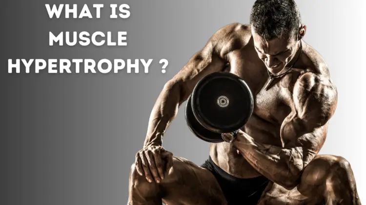 what is hypertrophy process