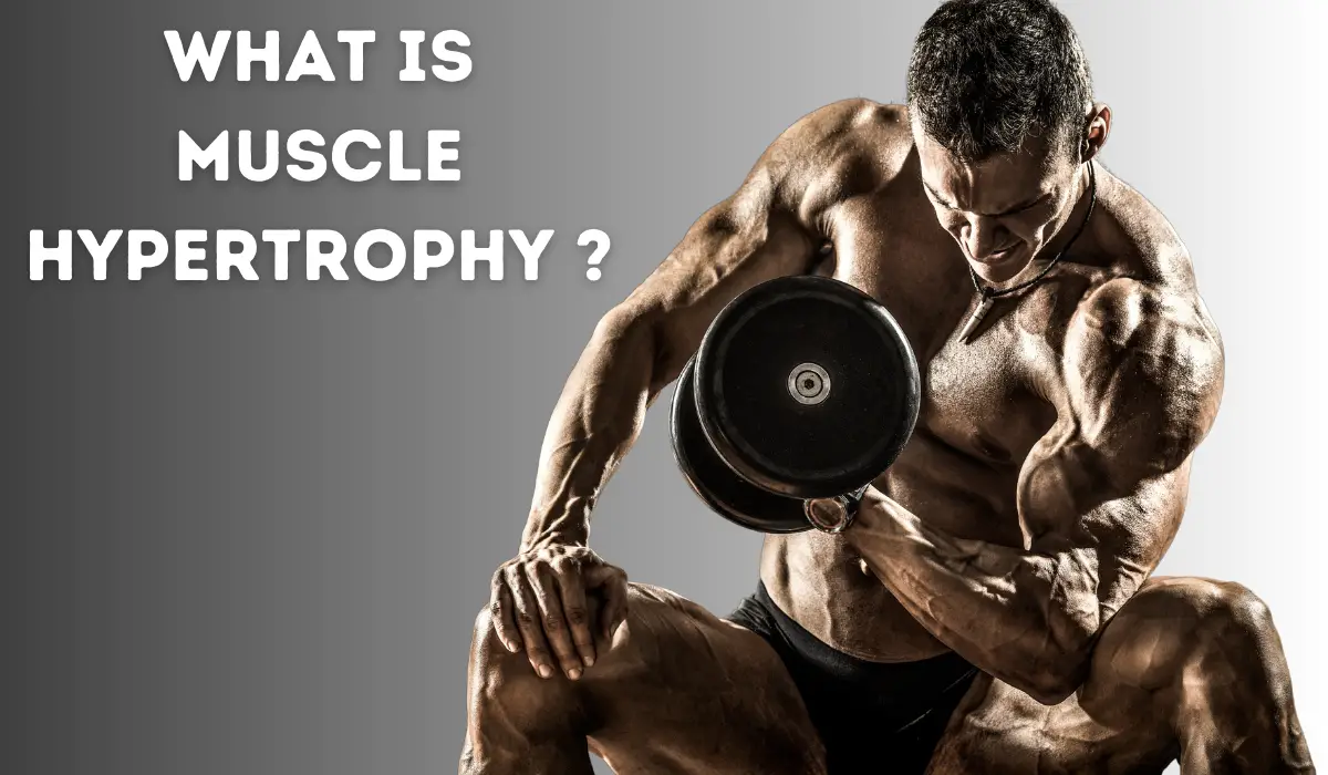 Photo of What’s Hypertrophy? Methods to Stimulate Muscle Progress?